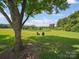 Picturesque backyard featuring a tranquil pond and two Adirondack chairs, framed by a tree at 714 Helms Efird Rd, Marshville, NC 28103