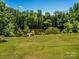 Picturesque pond surrounded by lush greenery, creating a serene and private backyard oasis at 7356 Terrace Dr, Charlotte, NC 28211
