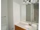 A bathroom featuring a spacious vanity and mirror, complemented by neutral wall color at 11107 Lions Mane St, Charlotte, NC 28273
