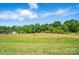 Spacious grassy yard surrounded by lush greenery and trees, offering privacy at 2722 Catawba Church Rd, Rock Hill, SC 29730