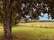 Pastoral landscape featuring a grassy field, rustic fence, and distant treeline under a cloudy sky at 6714 Old Shelby Rd, Vale, NC 28168