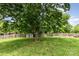 Lush backyard with mature trees, green grass, and a wooden fence providing privacy at 8429 Meadowcroft Ct, Charlotte, NC 28215