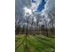 Beautiful view of the spacious backyard and open sky beyond the tree line at 3017 Brooks Mill Ln # 10, Wingate, NC 28174
