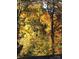View of colorful fall trees from the rooftop at 3017 Brooks Mill Ln # 10, Wingate, NC 28174