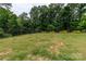 Community dog park in a private yard with a black metal fence and mature trees at 628 Uwharrie River Rd, Charlotte, NC 28211