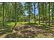 Backyard fire pit surrounded by trees, creating a cozy gathering space at 6409 Ilex Ct, Charlotte, NC 28211