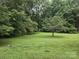Lush backyard featuring green grass, mature trees, and various plants, creating a serene outdoor space at 9225 Robinson Church Rd, Charlotte, NC 28215