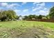 Expansive backyard showcasing a lush lawn, scattered trees, and a wooden fence, perfect for outdoor activities at 12504 Culp Rd, Gold Hill, NC 28071