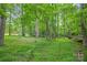 View into the wooded lot with mature trees and green undergrowth at 405 Deer Brush Ln, Waxhaw, NC 28173