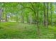 Wooded lot featuring mature trees and green vegetation at 405 Deer Brush Ln, Waxhaw, NC 28173
