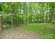 View into the wooded area of the lot featuring a small bench and green undergrowth at 405 Deer Brush Ln, Waxhaw, NC 28173