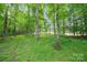 View into the wooded area of the lot featuring mature trees and ground cover at 405 Deer Brush Ln, Waxhaw, NC 28173