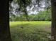 A view of a vast grassy lot surrounded by lush trees, including a tree swing in the foreground at 528 Waring Ct # Lot 3, Fort Mill, SC 29707