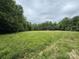 A view of a vast grassy lot surrounded by lush trees and a cloudy sky at 528 Waring Ct # Lot 3, Fort Mill, SC 29707