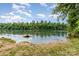Picturesque river view with calm water and lush greenery at 755 Lagan Ct, Fort Mill, SC 29715
