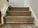 Carpeted stairway with white risers and banister leading to the upper level of the home at 10715 Tom Short Rd, Charlotte, NC 28277