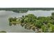 Aerial view of a lakeside community with private docks, mature trees, and well-maintained lawns at 1111 Palmyra Dr, Fort Mill, SC 29708
