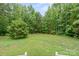 View of a green backyard with a tree line at 2949 Anderson Burgess Rd, Sharon, SC 29742
