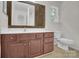 Bathroom with updated vanity, sink, mirror, and toilet at 5237 Ficus Tree Ln, Charlotte, NC 28215