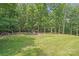Grassy backyard with mature trees and playground, an ideal space for outdoor fun and relaxation at 6350 Mount Pleasant S Rd, Concord, NC 28025