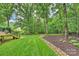 Expansive backyard featuring a well-maintained lawn, established trees, and landscaped features at 6722 Elmstone Dr, Charlotte, NC 28277