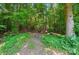 Enjoy a fire pit and a serene, wooded setting in this expansive backyard space at 7006 Nesbit Rd, Waxhaw, NC 28173