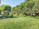 Lush backyard featuring mature trees and manicured landscaping, creating a private and serene outdoor space at 725 Old State Sw St, Concord, NC 28027
