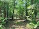 Secluded wooded lot perfect for nature lovers, with sunlight filtering through the trees at 2618 Pineview Dr, Lancaster, SC 29720