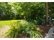 Landscaped backyard with yellow daylilies, hydrangeas, mature trees, and a tranquil atmosphere at 3009 Botetourt Ct, Weddington, NC 28104