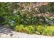 Lush garden featuring vibrant yellow daylilies, blue hydrangeas, and a decorative bird bath at 3009 Botetourt Ct, Weddington, NC 28104