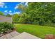 A well manicured backyard with mature trees and a black fence at 4848 Fonthill Ln, Charlotte, NC 28210