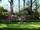Scenic backyard with colorful azaleas and dogwood trees, providing a lush and serene setting at 5806 Whitingham Dr, Charlotte, NC 28215