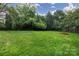 Expansive backyard showcasing a lush lawn, mature trees, and privacy landscaping at 6914 Evanton Loch Rd, Charlotte, NC 28278