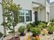 Beautiful front yard landscaping featuring small flowering plants and decorative stones at 750 Fraternity Row, Kannapolis, NC 28081