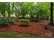 Tranquil backyard with mature trees and pine straw ground cover offers a peaceful retreat at 8008 Alba Ct, Charlotte, NC 28269