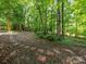 Lush, wooded backyard with a brick-laid path, creating a tranquil outdoor space at 10710 Bristlecone Ct, Mint Hill, NC 28227