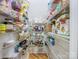 Walk-in pantry featuring organized shelving and ample storage space for provisions at 10710 Bristlecone Ct, Mint Hill, NC 28227
