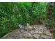 A cozy fire pit area surrounded by lush greenery with Adirondack chairs at 11710 Ney Manor Way, Charlotte, NC 28277