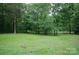 Spacious backyard with lush green grass, mature trees, and natural landscaping offering serene views at 1565 Earnhardt Rd, Salisbury, NC 28146