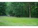 Lush backyard featuring green grass, mature trees and a chain-link fence for a private outdoor space at 1565 Earnhardt Rd, Salisbury, NC 28146