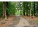 Long asphalt driveway is surrounded by mature trees and lush greenery at 1565 Earnhardt Rd, Salisbury, NC 28146