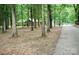Secluded home nestled among mature trees and lush foliage and long drive at 1565 Earnhardt Rd, Salisbury, NC 28146