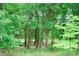 Serene property view through trees with glimpse of the house offering a secluded, nature-filled setting at 1565 Earnhardt Rd, Salisbury, NC 28146