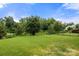Lush backyard with a manicured lawn and mature trees, enclosed by a black fence for privacy at 2522 Richland Balsam Dr # 450, Fort Mill, SC 29715