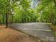 Outdoor basketball court surrounded by trees, offering a secluded and private recreational space at 3225 Mill Pond Rd, Charlotte, NC 28226