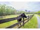 Scenic view of a dark horse leaning on a wooden fence overlooking a green pasture at 7712 Old Waxhaw Monroe Rd, Waxhaw, NC 28173