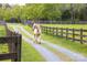 Lovely horse running down a gravel path surrounded by green grass and wooden fences at 7712 Old Waxhaw Monroe Rd, Waxhaw, NC 28173