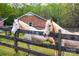 Beautiful horses grazing near a fenced area with a brick ranch-style house in the background at 7712 Old Waxhaw Monroe Rd, Waxhaw, NC 28173