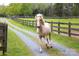 Beautiful paddock features a well-groomed horse with ample space and fencing at 7712 Old Waxhaw Monroe Rd, Waxhaw, NC 28173