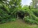 Overgrown backyard arbor covered in lush vines, creating a private and shaded retreat at 804 Dennis St, Troy, NC 27371